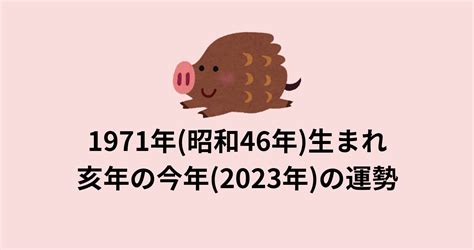 1971年干支|1971年・昭和46年生まれ・亥年 (いのししどし)・今年53歳